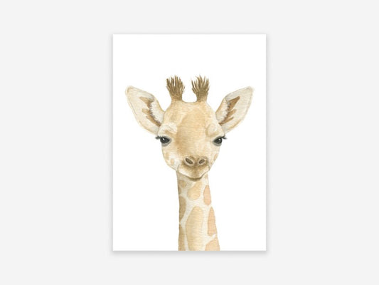 Postkaart Appeloogje | Giraffe kop