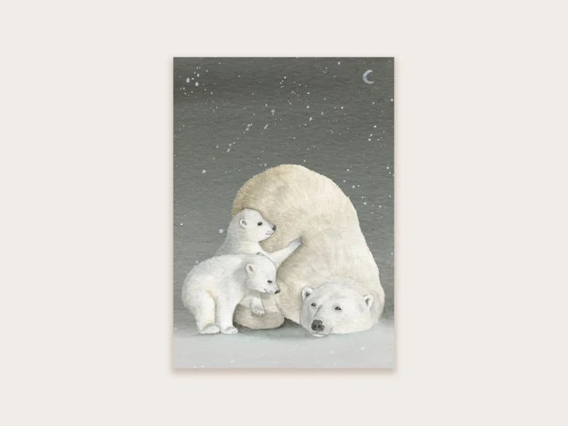 Postkaart Appeloogje | ijsberen donker