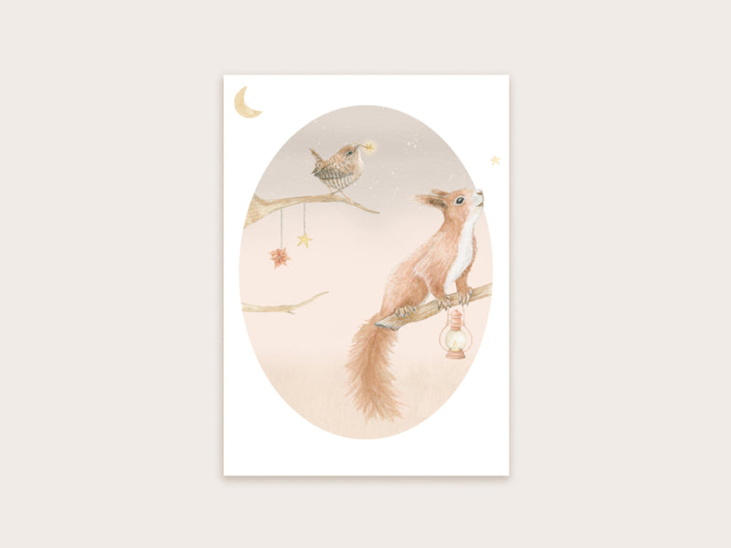 Postkaart Appeloogje | winter eekhoorn + winterkoninkje