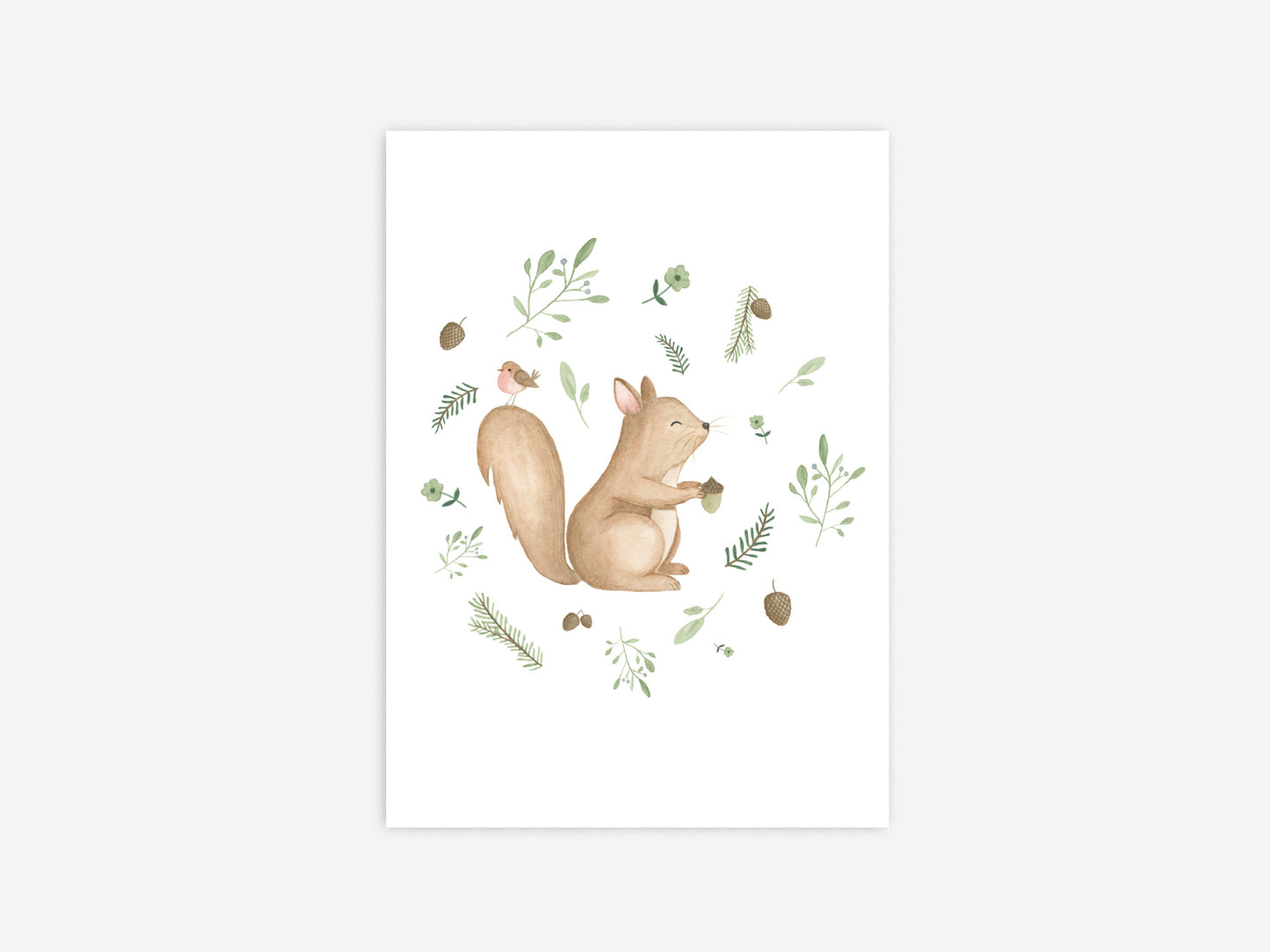 Postkaart Appeloogje | Eekhoorn met takjes en blaadjes
