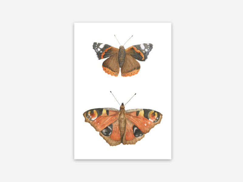 Postkaart Appeloogje | Vlinders