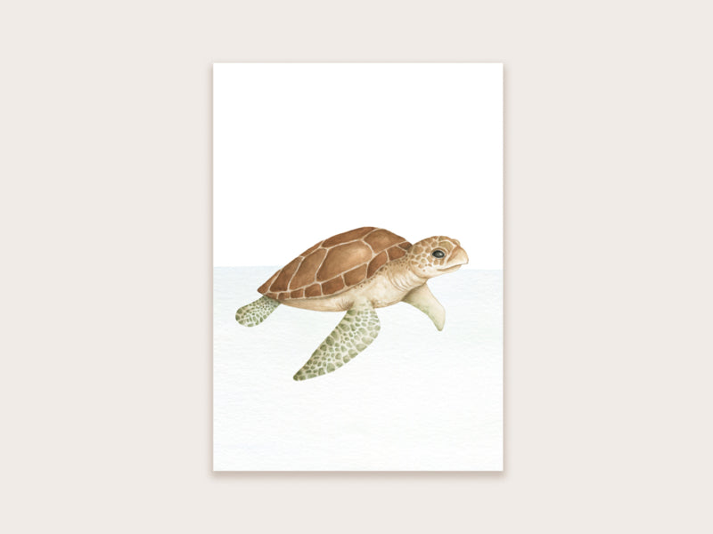 Postkaart Appeloogje | Schildpad