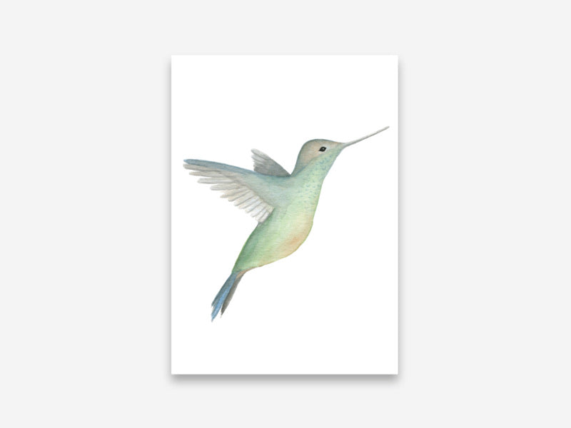 Postkaart Appeloogje | Kolibri